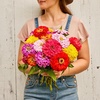 image:imageBurpee Cut amp Come Again Zinnia Flower Seeds  550mg NonGMO Flower Seed Packet for Home Gardening  Heirloom Cutting Garden Mixed Colors Annual Variety Pollinator FriendlyGiant Flowered Mixed Colors Zinnia Seeds