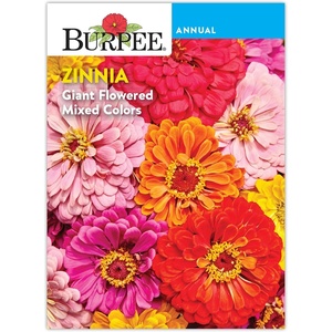 image:imageBurpee Cut amp Come Again Zinnia Flower Seeds  550mg NonGMO Flower Seed Packet for Home Gardening  Heirloom Cutting Garden Mixed Colors Annual Variety Pollinator FriendlyGiant Flowered Mixed Colors Zinnia Seeds