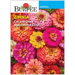 image:imageBurpee Cut amp Come Again Zinnia Flower Seeds  550mg NonGMO Flower Seed Packet for Home Gardening  Heirloom Cutting Garden Mixed Colors Annual Variety Pollinator FriendlyCut  Come Again Zinnia Seeds