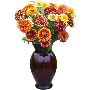 image:imageBurpee Jazzy Mix Zinnia Seeds 50 seeds