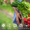 image:imageBurpee Garden Sown Flower Herb amp Vegetable 10 Packs of NonGMO Basil Lettuce Cucumber Radish Spinach Kale Zucchini Sunflower amp Marigold Seeds for PlantingBest 18 Heirloom Vegetable Seeds