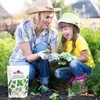 image:imageBurpee Garden Sown Flower Herb amp Vegetable 10 Packs of NonGMO Basil Lettuce Cucumber Radish Spinach Kale Zucchini Sunflower amp Marigold Seeds for PlantingBest 16 Heirloom Herb Seeds