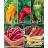 image:imageBurpee Garden Sown Flower Herb amp Vegetable 10 Packs of NonGMO Basil Lettuce Cucumber Radish Spinach Kale Zucchini Sunflower amp Marigold Seeds for PlantingBest 10 Pepper Collection