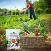 image:imageBurpee Garden Sown Flower Herb amp Vegetable 10 Packs of NonGMO Basil Lettuce Cucumber Radish Spinach Kale Zucchini Sunflower amp Marigold Seeds for PlantingBest 35 Heirloom Vegetable Seeds