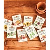 image:imageBurpee Garden Sown Flower Herb amp Vegetable 10 Packs of NonGMO Basil Lettuce Cucumber Radish Spinach Kale Zucchini Sunflower amp Marigold Seeds for PlantingCulinary Classics Herb Collection