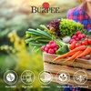 image:imageBurpee Garden Sown Flower Herb amp Vegetable 10 Packs of NonGMO Basil Lettuce Cucumber Radish Spinach Kale Zucchini Sunflower amp Marigold Seeds for PlantingBest 35 Heirloom Vegetable Seeds