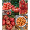 image:imageBurpee Garden Sown Flower Herb amp Vegetable 10 Packs of NonGMO Basil Lettuce Cucumber Radish Spinach Kale Zucchini Sunflower amp Marigold Seeds for PlantingBest 10 Tomato Collection