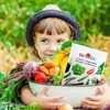 image:imageBurpee Garden Sown Flower Herb amp Vegetable 10 Packs of NonGMO Basil Lettuce Cucumber Radish Spinach Kale Zucchini Sunflower amp Marigold Seeds for PlantingBest 18 Heirloom Vegetable Seeds