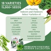 image:imageBurpee Garden Sown Flower Herb amp Vegetable 10 Packs of NonGMO Basil Lettuce Cucumber Radish Spinach Kale Zucchini Sunflower amp Marigold Seeds for PlantingBest 18 Heirloom Vegetable Seeds