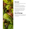 image:imageBurpee Gourmet Blend Lettuce Seeds 1100 seedsSweet Salad Mix