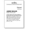image:imageBurpee Queen Annes Lace Ammi Majus Seeds 500 seeds