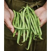 image:imageBurpee Stringless Green Pod Bush Bean Seeds 8 ounces of seedBlue Lake 274