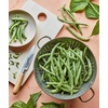 image:imageBurpee Stringless Green Pod Bush Bean Seeds 8 ounces of seedBlue Lake 274