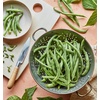 image:imageBurpee Stringless Green Pod Bush Bean Seeds 8 ounces of seedBlue Lake 274