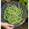 image:imageBurpee Stringless Green Pod Bush Bean Seeds 8 ounces of seedBlue Lake 274