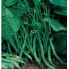 image:imageBurpee Stringless Green Pod Bush Bean Seeds 8 ounces of seedBlue Lake 274 Organic