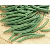 image:imageBurpee Stringless Green Pod Bush Bean Seeds 8 ounces of seedBlue Lake 274 Organic