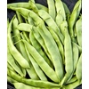 image:imageBurpee Stringless Green Pod Bush Bean Seeds 8 ounces of seedEarly Italian