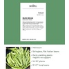 image:imageBurpee Stringless Green Pod Bush Bean Seeds 8 ounces of seedEarly Italian
