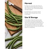image:imageBurpee Stringless Green Pod Bush Bean Seeds 8 ounces of seedEarly Italian