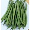 image:imageBurpee Stringless Green Pod Bush Bean Seeds 8 ounces of seedFrench Filet