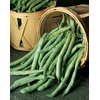 image:imageBurpee Stringless Green Pod Bush Bean Seeds 8 ounces of seedStringless Green Pod