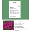 image:imageBurpee Supercascade Red Petunia Seeds 50 seedsPurple Wave