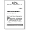 image:imageBurpee Zeeland Hybrid Mix Morning Glory Seeds 75 seedsZeeland
