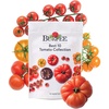 Best 10 Tomato Collection