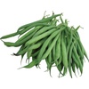 image:imageBurpee Stringless Green Pod Bush Bean Seeds 8 ounces of seedStringless Green Pod