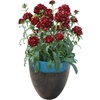 image:imageBurpee Sweet Black Cherry Dianthus Seeds 25 seeds