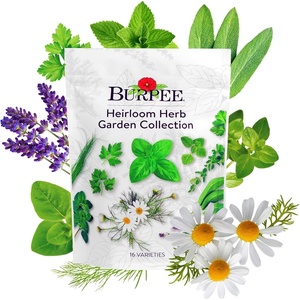 image:imageBurpee Garden Sown Flower Herb amp Vegetable 10 Packs of NonGMO Basil Lettuce Cucumber Radish Spinach Kale Zucchini Sunflower amp Marigold Seeds for PlantingBest 16 Heirloom Herb Seeds