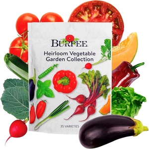 image:imageBurpee Garden Sown Flower Herb amp Vegetable 10 Packs of NonGMO Basil Lettuce Cucumber Radish Spinach Kale Zucchini Sunflower amp Marigold Seeds for PlantingBest 35 Heirloom Vegetable Seeds