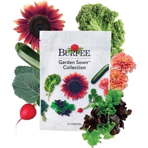 image:imageBurpee Garden Sown Flower Herb amp Vegetable 10 Packs of NonGMO Basil Lettuce Cucumber Radish Spinach Kale Zucchini Sunflower amp Marigold Seeds for PlantingGarden Sown Collection