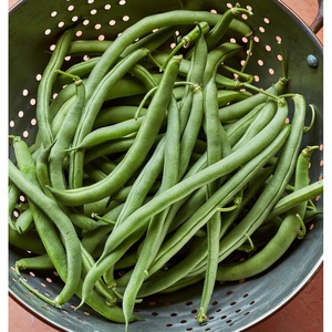 image:imageBurpee Stringless Green Pod Bush Bean Seeds 8 ounces of seedBlue Lake 274