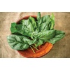 image:imageBurpee A La Carte Hybrid Spinach Seeds 300 seedsA La Carte Hybrid