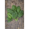 image:imageBurpee A La Carte Hybrid Spinach Seeds 300 seedsOrganic Bloomsdale