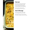 image:imageBurpee Best Zucchini Summer Squash Seeds 20 seeds