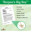 image:imageBurpee Big Boy Tomato Seeds 125 seeds125 seeds