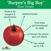 image:imageBurpee Big Boy Tomato Seeds 125 seeds125 seeds