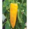 image:imageBurpee Big Daddy Sweet Pepper Seeds 40 seeds