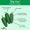 image:imageBurpee Big Guy Hot Pepper Seeds 30 seedsBig Guy