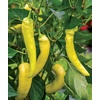 image:imageBurpee Big Guy Hot Pepper Seeds 30 seedsBlazing Banana