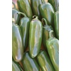 image:imageBurpee Big Guy Hot Pepper Seeds 30 seedsJalapeno Gigante