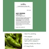 image:imageBurpee Big Guy Hot Pepper Seeds 30 seedsOrganic Greek Pepperoncini