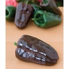 image:imageBurpee Big Guy Hot Pepper Seeds 30 seedsPoblano Ancho