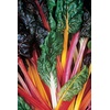 image:imageBurpee Bright Lights Blend Swiss Chard Seeds 100 seeds