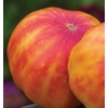 image:imageBurpee BushSteak Hybrid Red Beefsteak Slicing Tomato 40 NonGMO SeedsBig Rainbow Heirloom