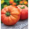 image:imageBurpee BushSteak Hybrid Red Beefsteak Slicing Tomato 40 NonGMO SeedsBig Rainbow Heirloom