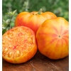 image:imageBurpee BushSteak Hybrid Red Beefsteak Slicing Tomato 40 NonGMO SeedsBig Rainbow Heirloom